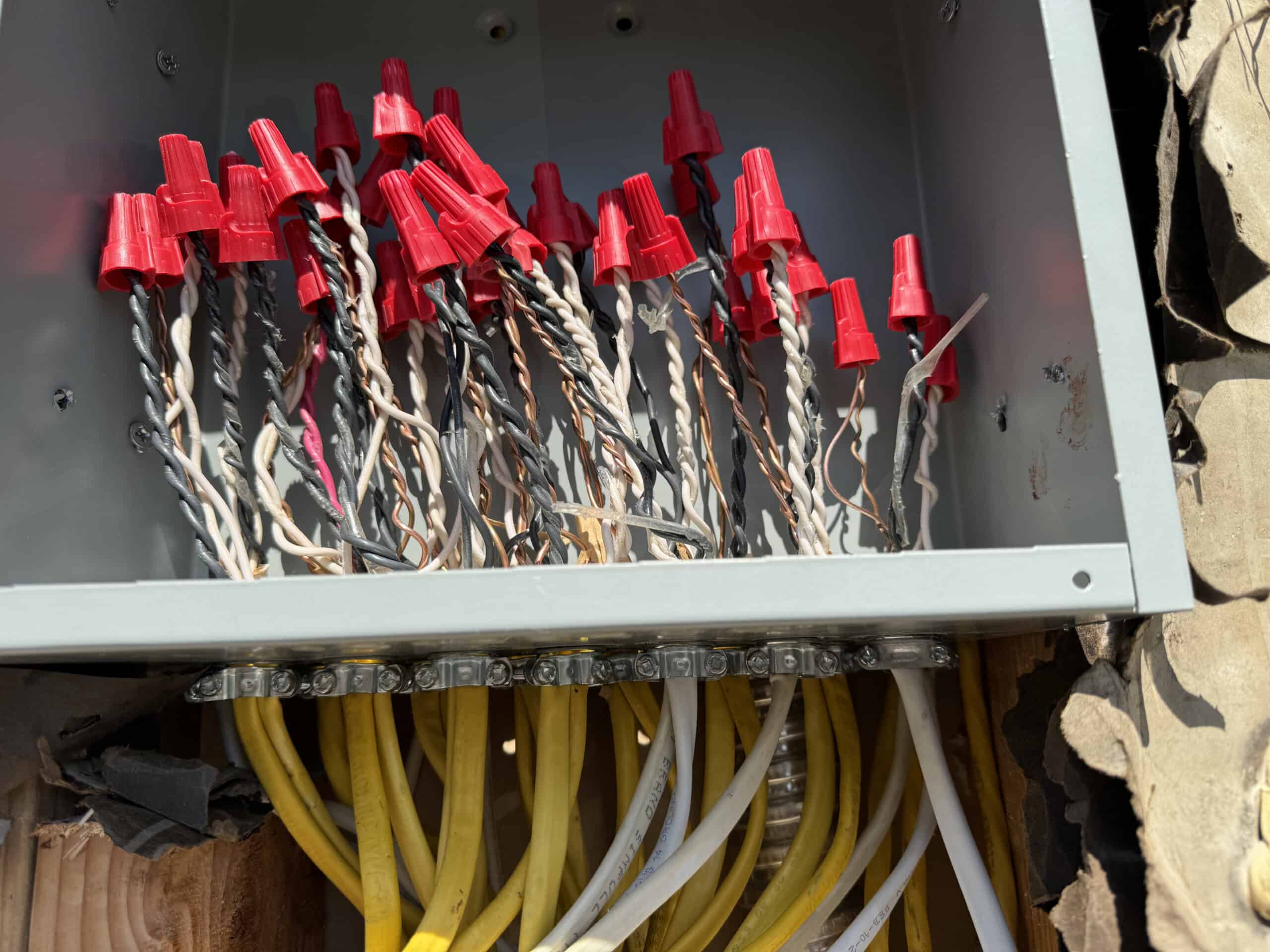 Electrical wiring with red wire nuts and yellow cables in a box.